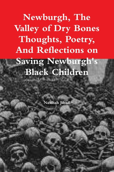 Newburgh, The Valley of Dry Bones Thoughts, Poetry, And Reflections on Saving Newburgh's Black Children