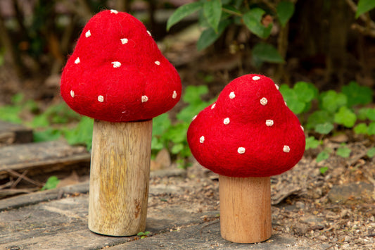 Woodland toadstools