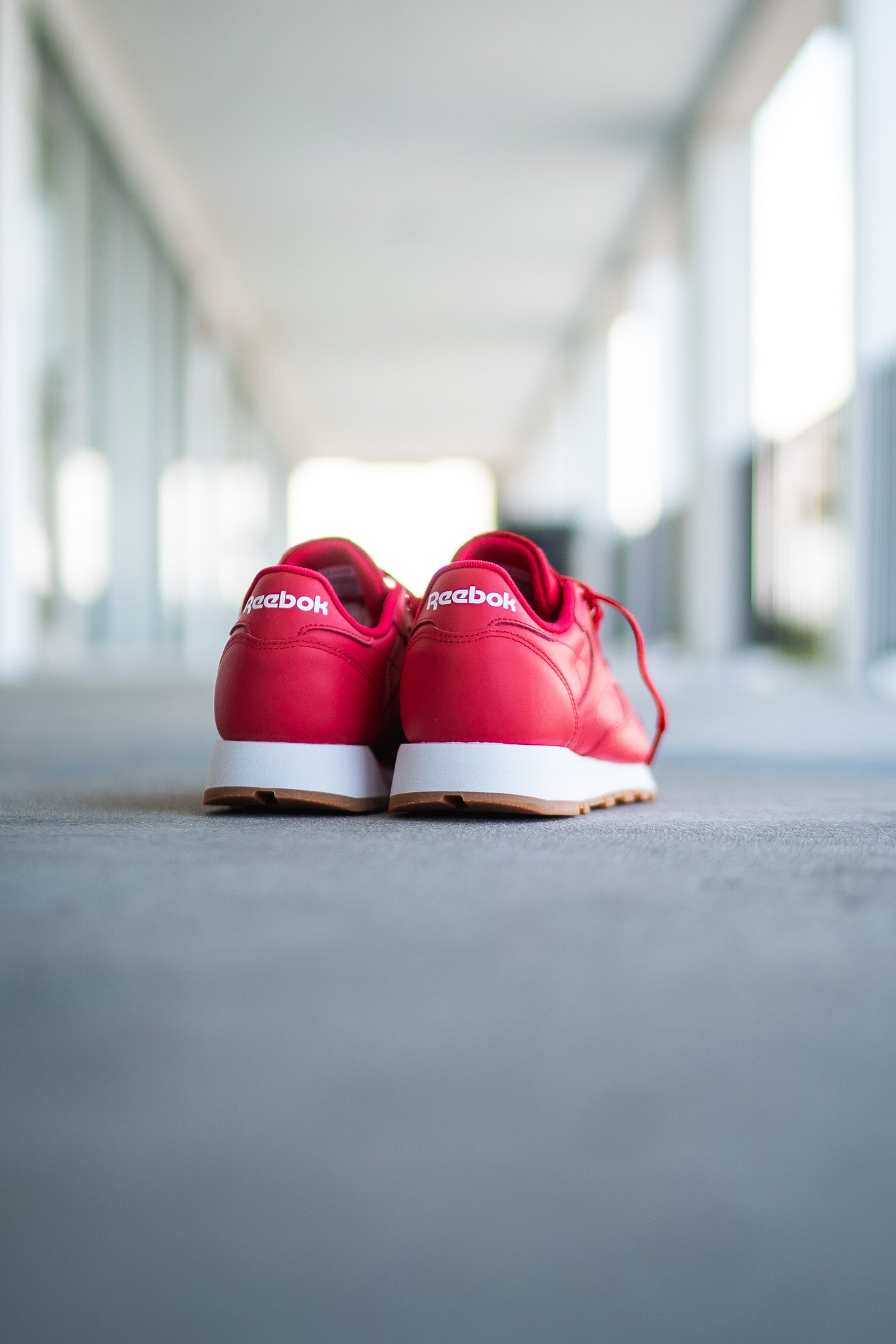 Men's Reebok Classic Leather (Vector Red/White)