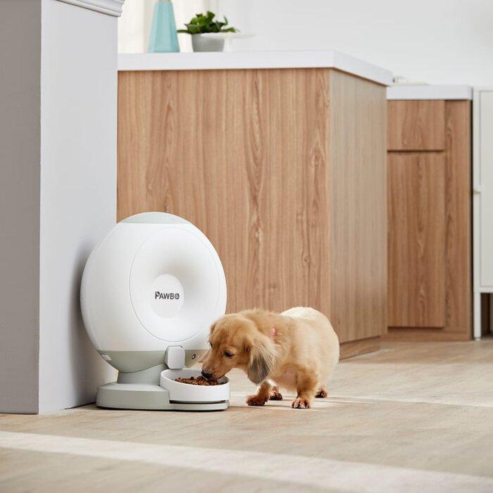 Pawbo Crunchy Smart Pet Feeder